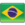 Brazilian Portuguese